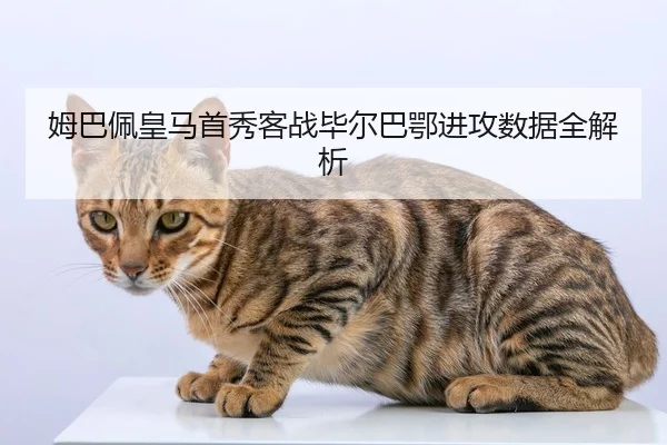 mu-ba-pei-huang-ma-shou-xiu-ke-zhan-bi-er-ba-e-jin-gong-shu-ju-quan-jie-xi-1-497.jpg