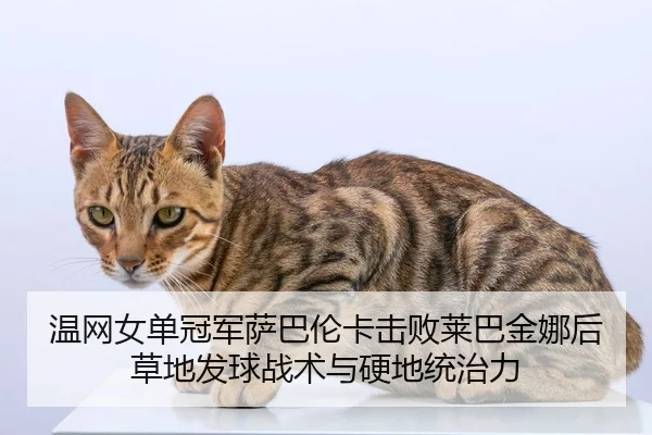 wen-wang-nv-dan-guan-jun-sa-ba-lun-ka-ji-bai-lai-ba-jin-na-hou-cao-di-fa-qiu-zhan-shu-yu-ying-di-tong-zhi-li-2-679.jpg