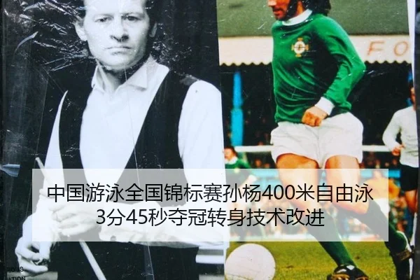 zhong-guo-you-yong-quan-guo-jin-biao-sai-sun-yang-mi-zi-you-yong-fen-miao-duo-guan-zhuan-shen-ji-shu-gai-jin-1-857.jpg